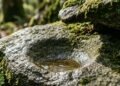 A mensagem do provérbio popular: “Água mole em pedra dura, tanto bate até que fura.”