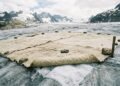 Estudantes da Suíça usam lã de ovelha para cobrir uma geleira e descobrem que o material biodegradável pode proteger o gelo tão bem quanto lonas sintéticas durante o verão