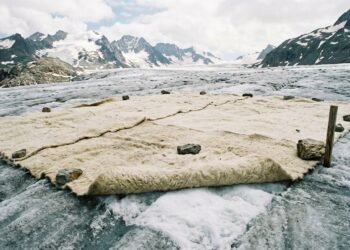 Estudantes da Suíça usam lã de ovelha para cobrir uma geleira e descobrem que o material biodegradável pode proteger o gelo tão bem quanto lonas sintéticas durante o verão