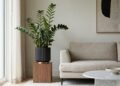 Adeus à monstera: a planta mais elegante e original de 2026, que decora qualquer cantinho da casa e ocupa pouco espaço