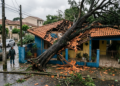 Uma árvore de grande porte plantada no jardim de uma casa tombou durante vendaval e atingiu o telhado da residência contígua destruindo a caixa-d'água. Embora o dono alegasse motivo de força maior, a perícia constatou falta de poda e laudo anterior da prefeitura apontando risco, condenando-o ao ressarcimento integral dos reparos.