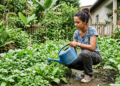 As plantas do meu jardim estavam verdes, mas quase nunca davam flores: eu regava e adubava sem perceber o que estava faltando