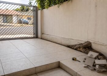 Raízes sob a divisa podem gerar danos materiais e disputa entre vizinhos.