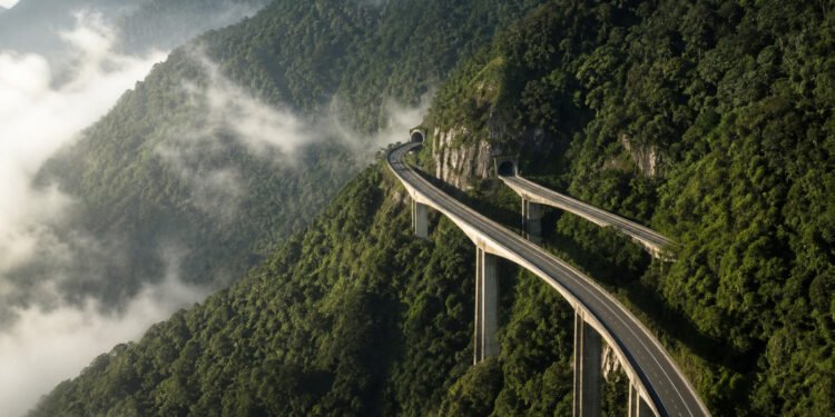 Viadutos da Rodovia dos Imigrantes sobre a Mata Atlântica