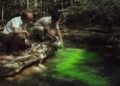 Cientistas despejam corante no sumidouro de Kentucky