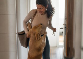 Cachorro faz festa na porta quando a dona chega