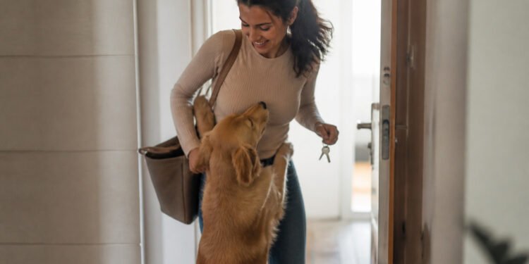 Cachorro faz festa na porta quando a dona chega