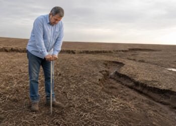 Compactação do solo e curvas destruídas podem gerar reparação no arrendamento rural.