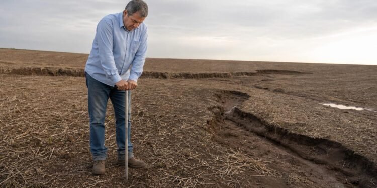 Compactação do solo e curvas destruídas podem gerar reparação no arrendamento rural.