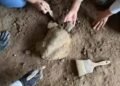 Arqueólogos encontram 25 tartarugas de pedra escondidas em gruta na Turquia e revelam ritual de caçadores de 16 mil anos