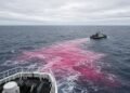 Mancha rosa se abre atrás do casco de um barco de pesquisa em mar aberto