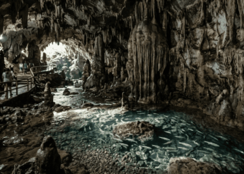 No sertão mineiro, um rio corre dentro da rocha e abriga peixes sem cor: as cavernas que também protegem parte da água consumida pela cidade