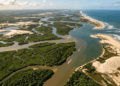 Onde o rio se divide em cinco caminhos antes de chegar ao mar, uma cidade histórica guarda casarões e um dos cenários mais raros das Américas