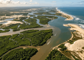 Onde o rio se divide em cinco caminhos antes de chegar ao mar, uma cidade histórica guarda casarões e um dos cenários mais raros das Américas