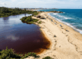 Uma lagoa que se separa do mar azul por uma faixa de areia ganhou o apelido de "Coca-Cola" no litoral fluminense, e a explicação está nas folhas da restinga