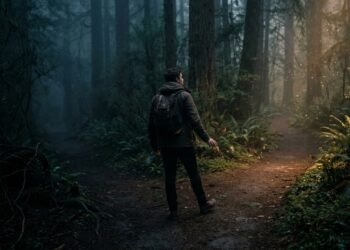 O enigma do sexto sentido: a neurociência por trás da intuição que explica quando o seu pressentimento é confiável e quando é ilusão