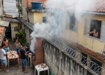 Família constrói churrasqueira próxima ao muro e fumaça passa a atingir quartos do vizinho todos os finais de semana