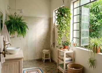 3 plantas que gostam de umidade e podem transformar o banheiro em um espaço mais verde