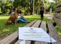 Cachorro de grande porte passeia sem guia no parque, ataca cão menor e dono é condenado a pagar R$ 10 mil após alegar que a vítima provocou