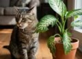 3 plantas comuns dentro de casa que podem ser perigosas para gatos e exigem cuidado antes de chegar perto deles