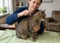 O teste da pele que todo tutor de gato pode fazer em casa para perceber um possível sinal de desidratação