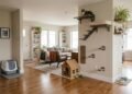 7 coisas que parecem inofensivas, mas podem deixar a casa menos confortável para os gatos, segundo especialistas
