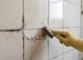Especialistas em limpeza concordam: “Para remover o mofo dos azulejos, é preciso limpar o rejunte e secar bem a superfície.”