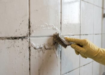 Especialistas em limpeza concordam: “Para remover o mofo dos azulejos, é preciso limpar o rejunte e secar bem a superfície.”