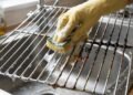 Antes de esfregar a grelha do forno com força, um truque com água quente pode facilitar a limpeza da gordura acumulada