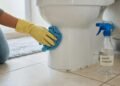 Especialistas recomendam borrifar vinagre ao redor do vaso sanitário com frequência em casa: o que isso faz e por que eles recomendam