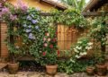 O muro sem vida que pode virar um jardim cheio de flores