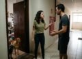Casal se separa e nenhum dos dois quer ficar com dois cães que viviam na casa; animais permanecem sozinhos no imóvel por dias até vizinhos perceberem situação