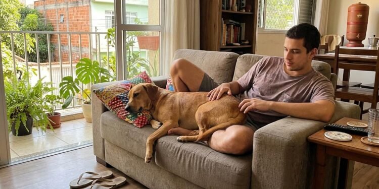 Um cachorro não precisa manter os olhos no tutor o tempo inteiro para se sentir seguro.