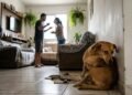A psicologia afirma que cães e gatos absorvem e canalizam a tensão familiar, manifestando-a em problemas comportamentais