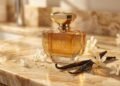 Eudora reúne 5 perfumes com âmbar, patchouli e baunilha para quem procura fragrâncias encorpadas em dias mais frescos