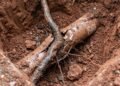 proprietário pode construir no quintal