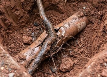 proprietário pode construir no quintal