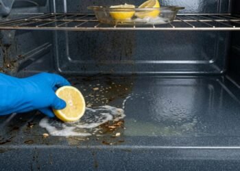 Especialistas revelam por que esfregar limão no forno limpa sujeiras difíceis rapidamente e o truque fácil que o deixa parecendo novo.