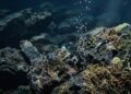 Europa pode continuar sendo habitável mesmo sem fontes hidrotermais no fundo do oceano
