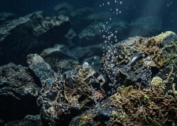 Europa pode continuar sendo habitável mesmo sem fontes hidrotermais no fundo do oceano