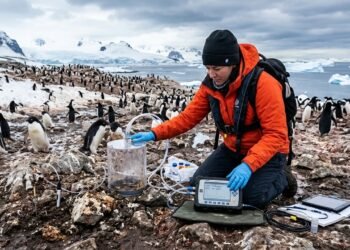Estudo aponta que pinguins da Antártida liberam milhões de toneladas de metano por ano
