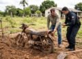 Homem encontra uma motocicleta enterrada durante a limpeza de um sítio comprado por R$ 160 mil e descobre que o veículo possui registro de furto de 1987; a polícia recolhe a moto e antigos proprietários aparecem reivindicando sua posse