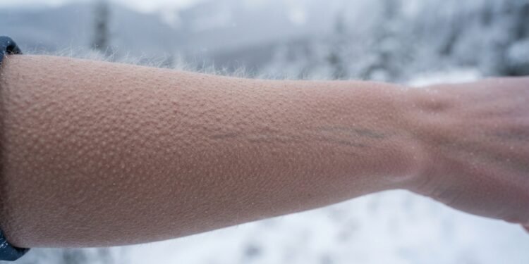 Estudo revela como os tremores ajudam o corpo a produzir calor quando a temperatura começa a cair e por que essa reação natural ocorre.