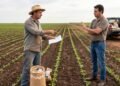 Produtor rural compra sementes suficientes para plantar 12 hectares e descobre, depois da germinação, que recebeu uma variedade diferente da contratada; o fornecedor reconhece a troca, mas se recusa a assumir o possível prejuízo da safra