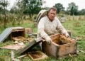 Produtor de mel encontra dezenas de colmeias destruídas depois que uma empresa realiza pulverização em terreno próximo; ao calcular o prejuízo de R$ 36 mil, busca identificar o produto utilizado e apurar a responsabilidade pela perda das abelhas