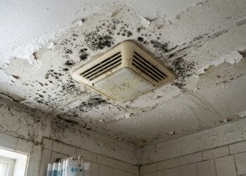 Mofo no teto do banheiro pode ser evitado com um ajuste simples no exaustor