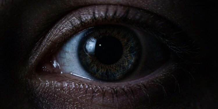 O que acontece na retina quando os olhos demoram para se acostumar com o escuro, segundo a ciência
