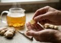 Mastigar uma lasca de gengibre ou tomar a infusão antes da viagem: o método natural que bloqueia os estímulos cerebrais do vômito e da náusea