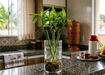 Onde colocar o bambu-da-sorte na cozinha de acordo com o Feng Shui para atrair prosperidade