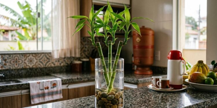 De acordo com o Feng Shui, a cozinha representa alimentação, vitalidade e cuidado com a família.